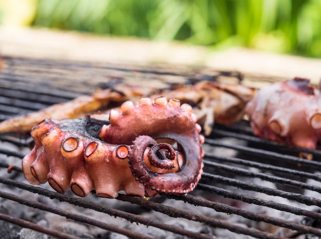 Octopustentakels en vissen met zuignappen op grillclose-up in Grieks eiland