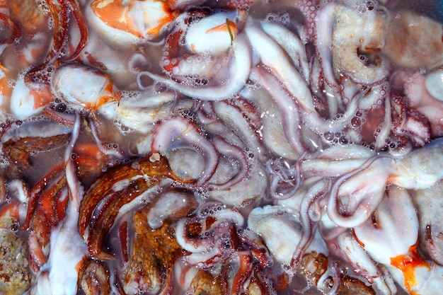 Octopusvangst uit de middellandse zee