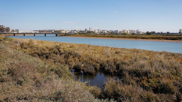 Foto odiel moerassen in huelva