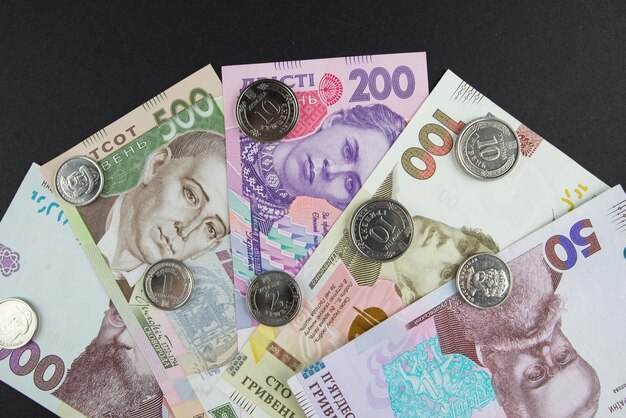 Oekraïens geld Verschillende hryvnia Financieel concept
