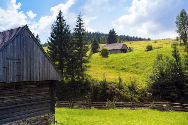 Oekraïens landschap bij de Karpaten