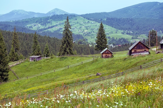 Oekraïens landschap