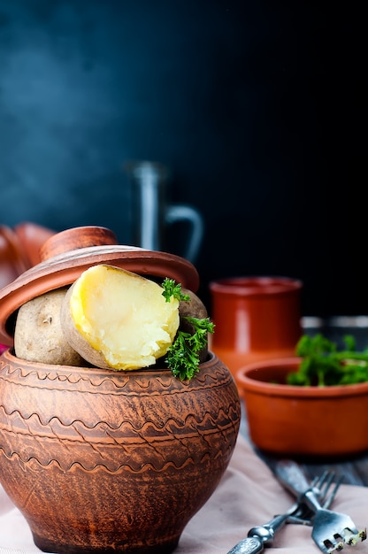 Oekraïense nationale gerecht is gebakken aardappelen