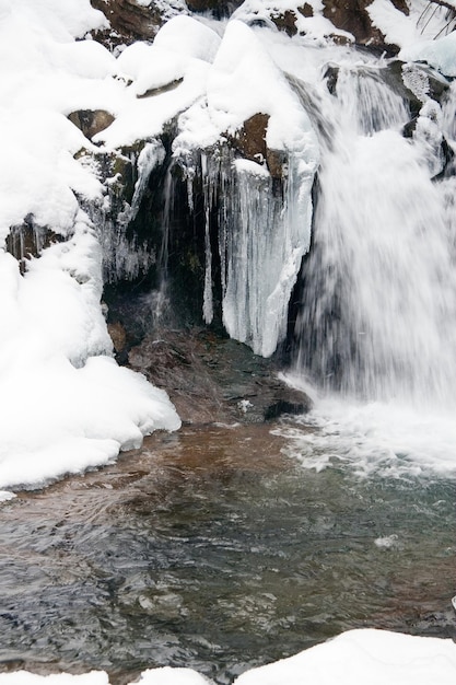 Oekraïne de prachtige Karpaten Waterval in het winterbos Besneeuwde winterboswaterval Waterval in het wintersneeuwbos Winterwatervallandschap