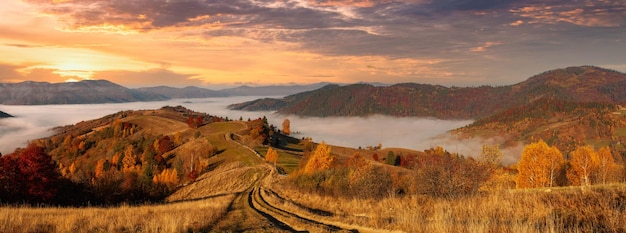 Oekraïne Een magische herfstzonsopgang met mist die over valleien kruipt over bergformaties ver van de beschaving Synevyr-pas in de Karpaten