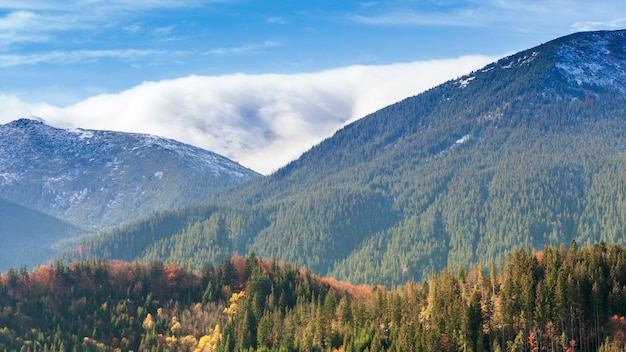 Oekraïne Karpaten Tijdsverloop van ochtendmist in de herfstbergen Landschap met besneeuwde bergen en lopende mist