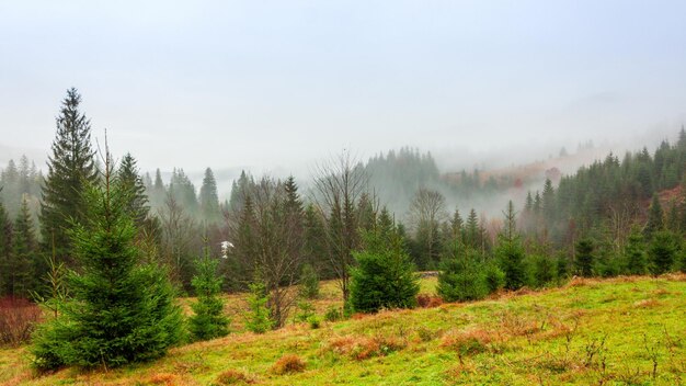 Oekraïne Karpaten Tijdsverloop van ochtendmist in de herfstbergen Landschap met besneeuwde bergen en lopende mist