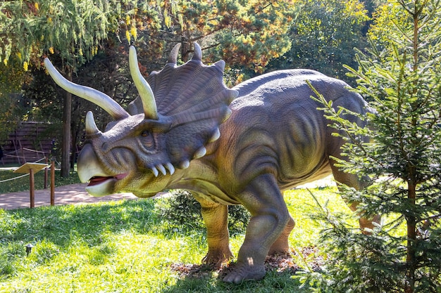 Oekraïne, Khmelnitsky, oktober 2021. Dinosaurusmodel in het park. Reuze triceratops op tentoonstelling in het park op een zonnige zomerdag