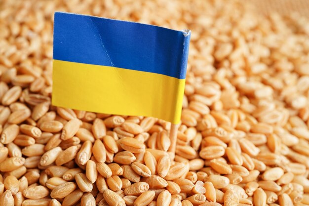 Oekraïne op graan tarwe handel export en economie concept