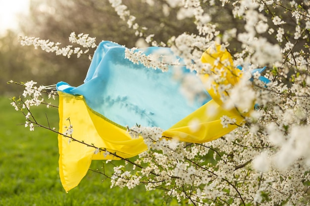 Oekraïne vlag geel en blauw in een bloementuin