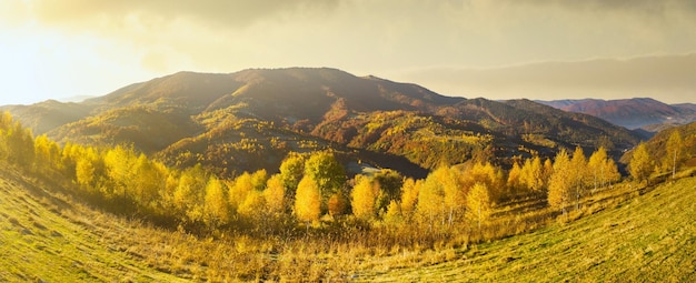 Oekraïne Zonsopgang schijnt in de Karpaten gekleurde mist verspreidt zich over de valleien en laaglanden van de bergketen gouden prairies zijn zeer oogverblindend mooi