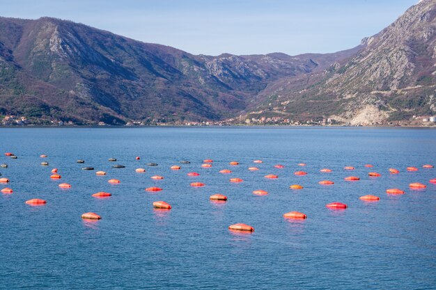 Oester fokken aquatische faciliteit, Adriatische Zee, Montenegro