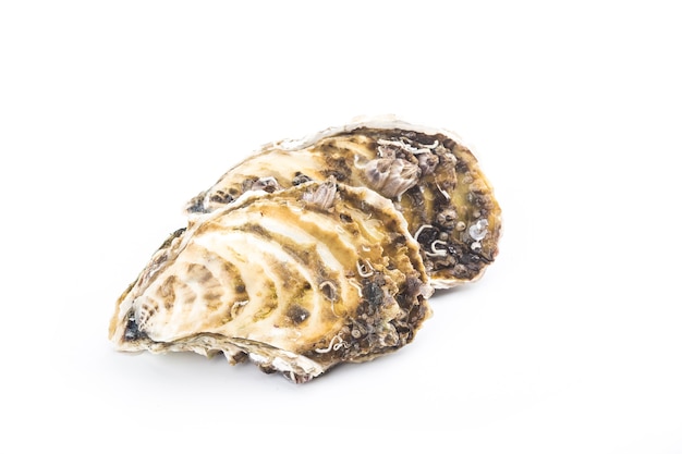 Oesters geïsoleerd op een witte muur