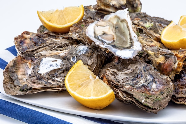 Oesters in een bord