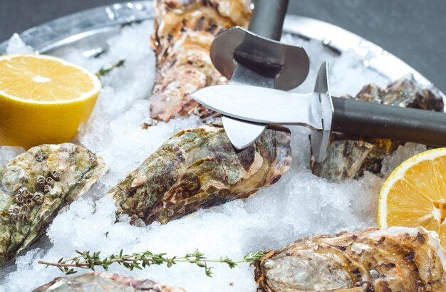 Oesters op stenen plaat met ijs en citroen.