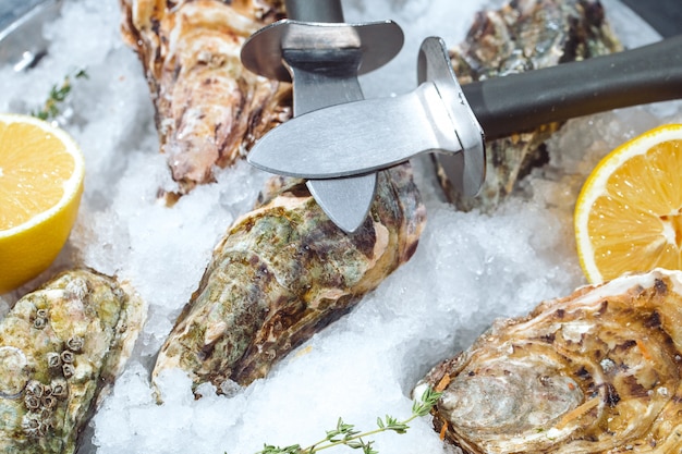 Oesters op stenen plaat met ijs en citroen.