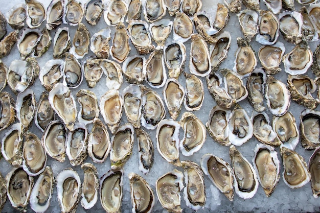 Oesters openen verse schaaldieren vlakke plaat oester achtergrond op de feesttafel