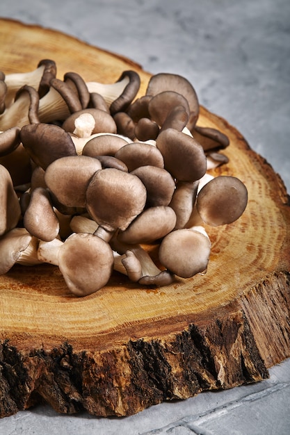 Oesterzwammen op oud ruw hout. Vers mycelium met paddenstoelen, jonge paddenstoelen. Grijze en houten achtergrond, kopieer ruimte.