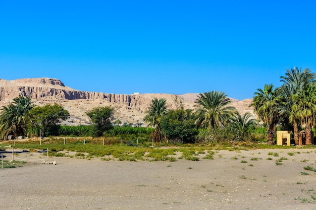 Oever van de rivier de Nijl in Luxor, Egypte