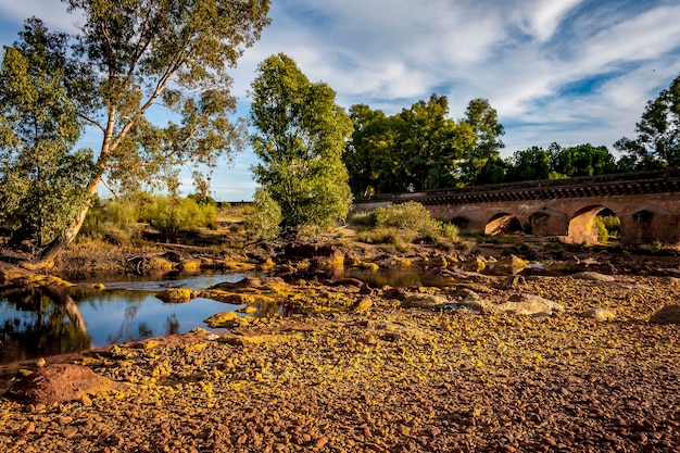 Foto oever van een rivier met bomen en oranje stenen