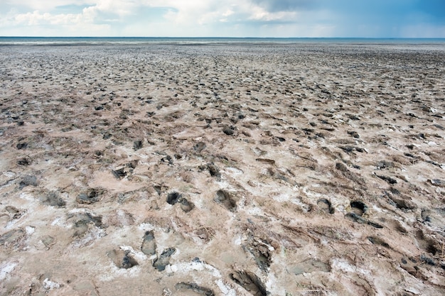 Oever van Lake Ebeyty, therapeutische modder, zoutmeer in de regio Omsk (Rusland).