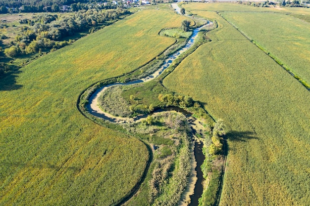 oevers van een moerassige rivier, uitzicht van bovenaf