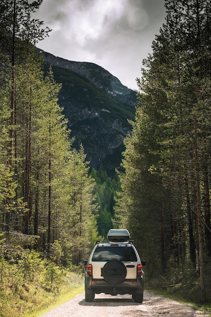 Foto fuoristrada su strada sterrata nella foresta