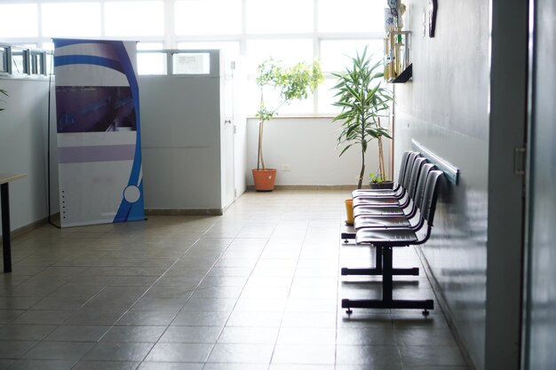 Photo office with plants and waiting chairs with lots of light