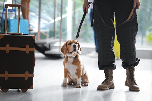 空港のクローズ アップでスーツケースの近くに犬と役員