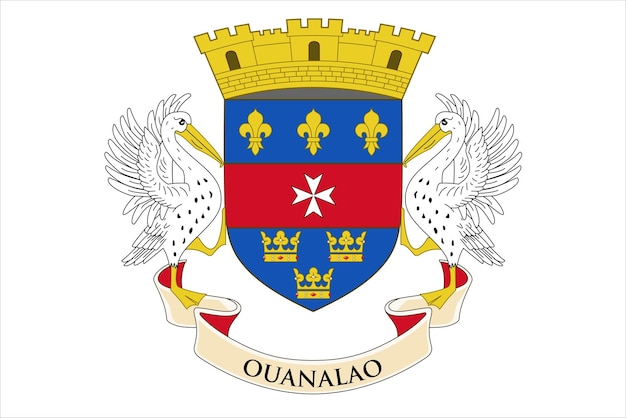 The official current flag and coat of arms of Saint Barthelemy State flag of Saint Barthelemy