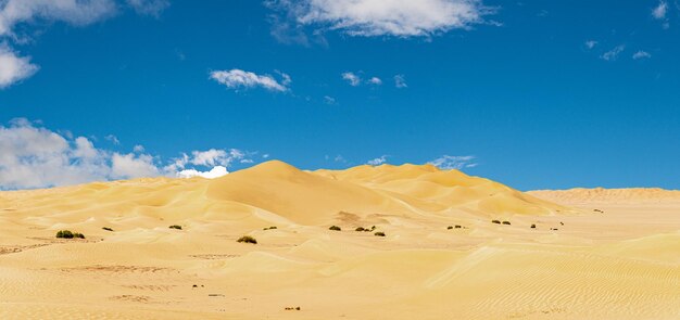 Offroad Jeep safari in the Omani Rub alChali Desert