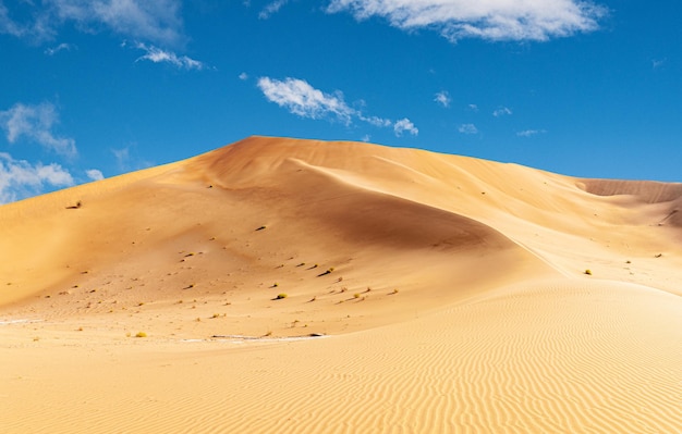 Offroad jeep safari in the omani rub alchali desert