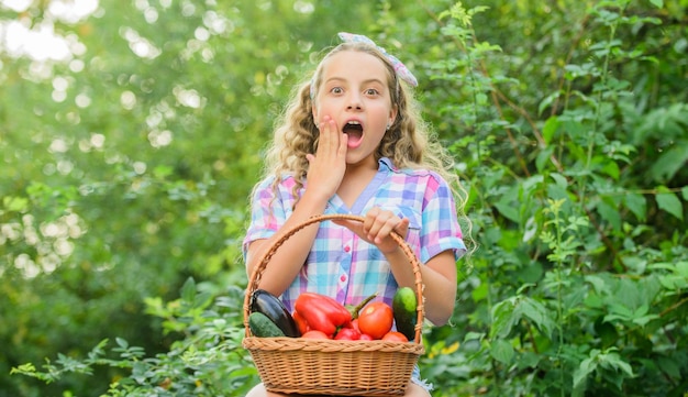 Oh mijn god gezond eten voor kinderen verrast kleine boer herfst oogst oogst vitamine lente markttuin meisje groente in mand Alleen natuurlijke jongen op zomerboerderij Biologisch voedsel