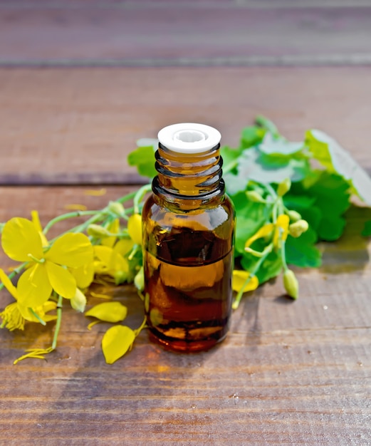 Oil in a bottle, flowers and leaves of celandine on a dark wooden board