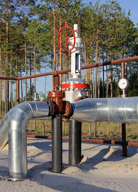 Oil industry. gas pipeline with a red gate. western siberia,\
russia.