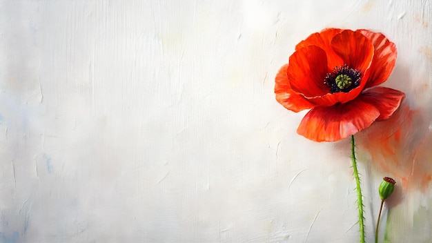 Photo oil painting abstract poppy flower in the corner