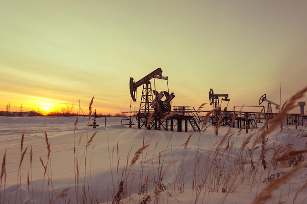 Martinetto della pompa dell'olio su un giacimento di petrolio. fondo del cielo di tramonto di inverno. estrazione dell'olio. concetto di petrolio. tonico.