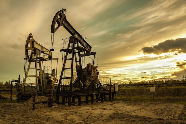 Oil pump jacks at sunset sky background. Toned.