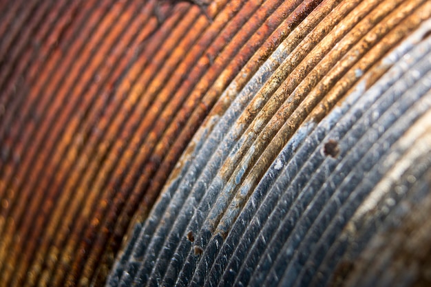 oily rusty metal plate