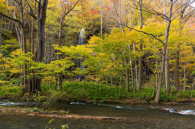 Oirase Gorge Stream