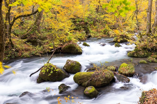 Oirase Mountain Stream in de herfst seizoen