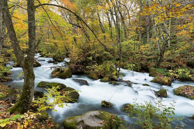 Oirase Stream in autumn