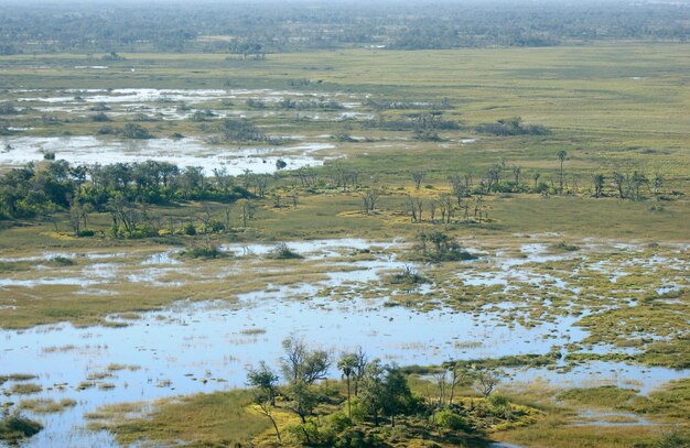 Okavango Delta