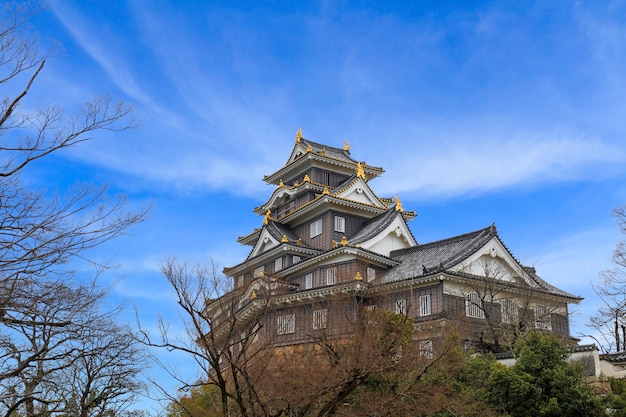 Photo okayama castle landmark.