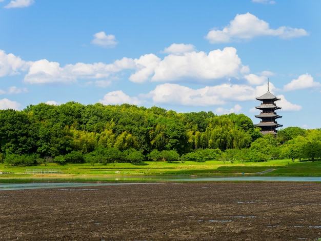 パゴダと木の背景を持つ岡山県