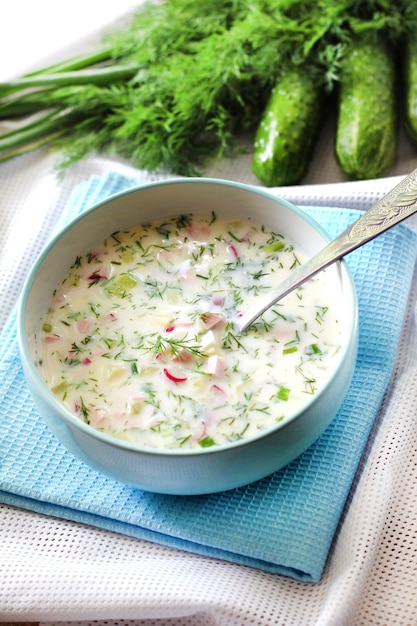 Okroshka - traditional Russian cold soup with fresh cucumber, boiled eggs and dill