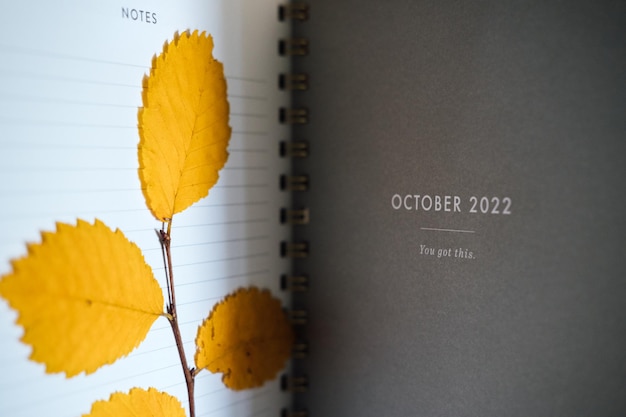 Oktober-planpagina in open notebook-organizerkalender met droge herfstbladeren herfstplanning en