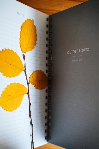 Oktober-planpagina in open notebook-organizerkalender met droge herfstbladeren herfstplanning en