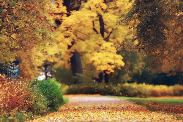 Oktoberlandschap / herfst in het park, gele oktoberbomen, steegje in het herfstlandschap