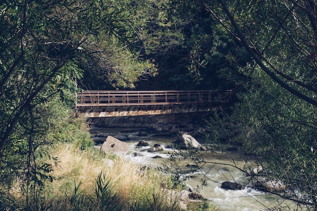 Строительство старого заброшенного металлического моста среди деревьев, залитая солнцем роща, пересечение лесного ручья стоковая фотография